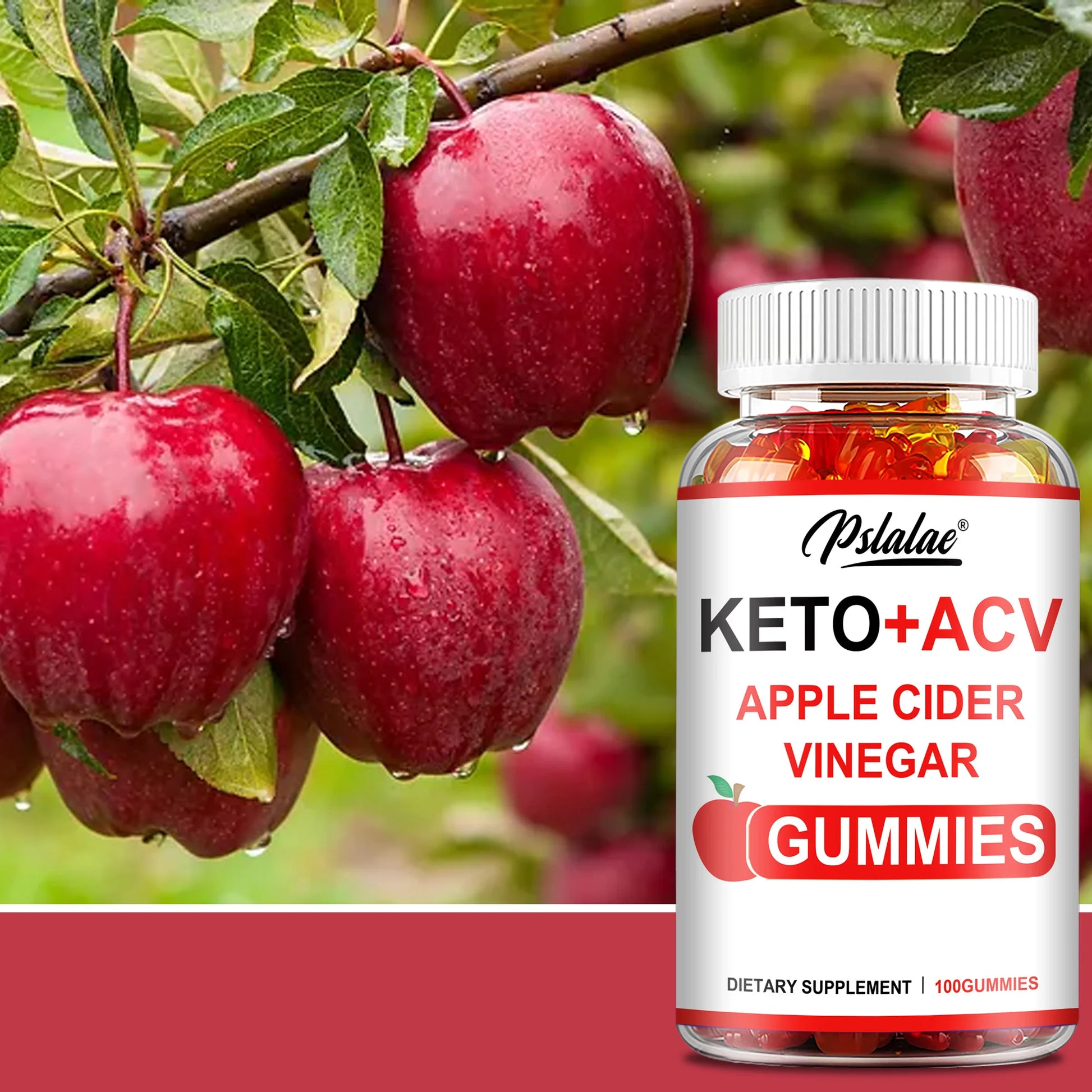 Apple Cider Vinegar Supplement | ACV Gummies| Camzi Fitness & Wellness