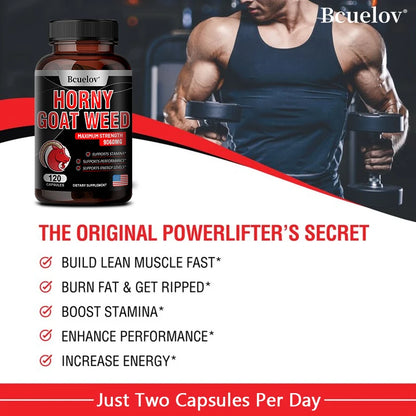 Best Horny Goat Weed | Men's Supplements | Camzi Fitness & Wellness